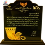 افتخارات